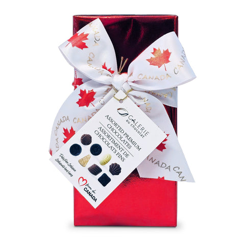 Galerie au Chocolat Assorted Fine Chocolates Montreal travel exclusive 200G